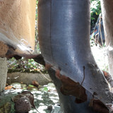 Motive; Publicdomain; Cc0; Freeimage;