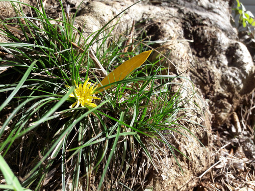 Motive; Publicdomain; Cc0; Freeimage;.jpg