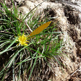 Motive; Publicdomain; Cc0; Freeimage;