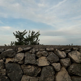 Motive; Publicdomain; Cc0; Freeimage;