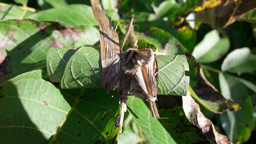 Motive; Publicdomain; Cc0; Freeimage;.jpg