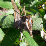 Motive; Publicdomain; Cc0; Freeimage;