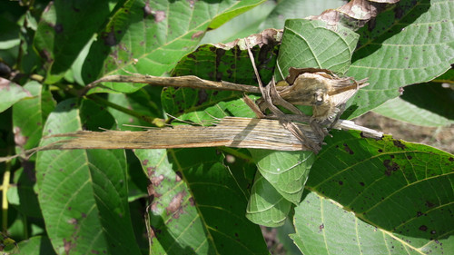 Motive; Publicdomain; Cc0; Freeimage;.jpg