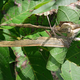 Motive; Publicdomain; Cc0; Freeimage;