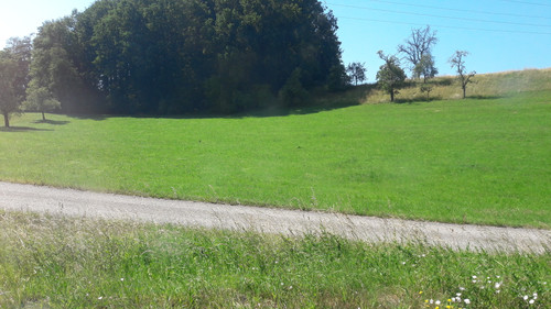 Motive; Publicdomain; Cc0; Freeimage;.jpg