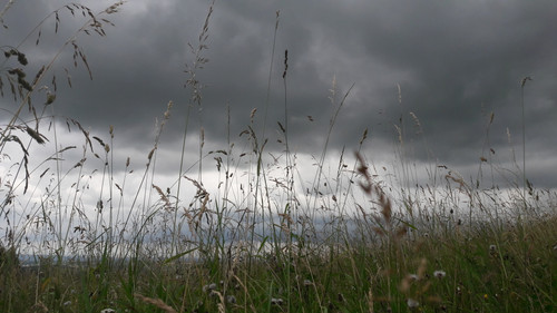 Motive; Publicdomain; Cc0; Freeimage;.jpg