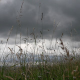 Motive; Publicdomain; Cc0; Freeimage;