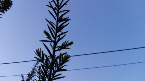 Motive; Publicdomain; Cc0; Freeimage;.jpg