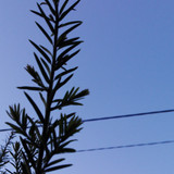 Motive; Publicdomain; Cc0; Freeimage;