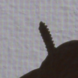 Shadow; Publicdomain; Cc0; Freeimage;