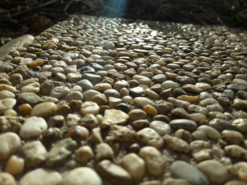 Motive; Publicdomain; Cc0; Freeimage;