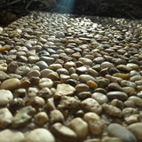 Motive; Publicdomain; Cc0; Freeimage;