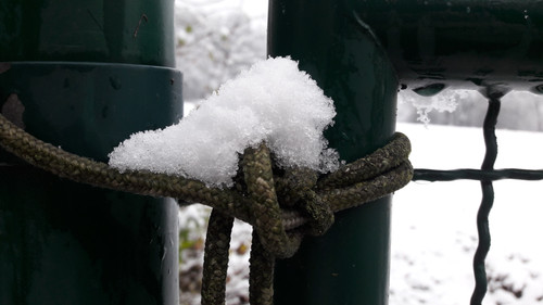 Motive; Publicdomain; Cc0; Freeimage;.jpg