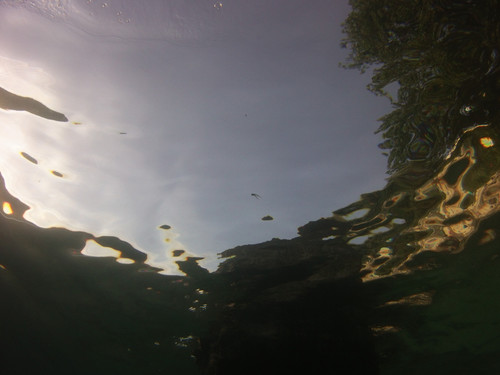 Reflections; Publicdomain; Cc0; Freeimage;.jpg