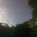 Reflections; Publicdomain; Cc0; Freeimage;