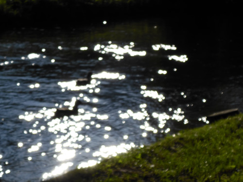 Reflections; Publicdomain; Cc0; Freeimage;.jpg