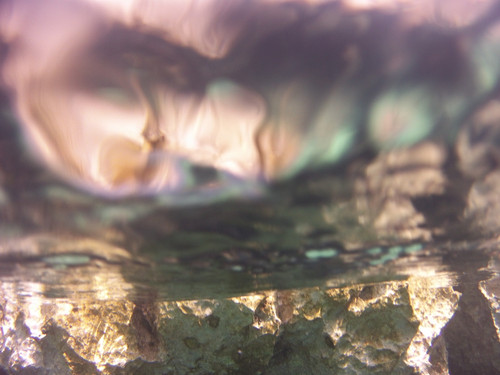 Reflections; Publicdomain; Cc0; Freeimage;.jpg