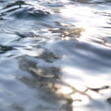 Reflections; Publicdomain; Cc0; Freeimage;