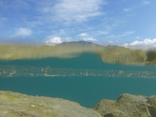 Reflections; Publicdomain; Cc0; Freeimage;.jpg