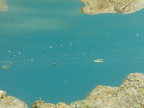 Reflections; Publicdomain; Cc0; Freeimage;.jpg