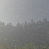 Reflections; Publicdomain; Cc0; Freeimage;