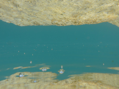 Reflections; Publicdomain; Cc0; Freeimage;.jpg