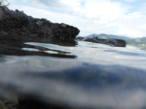 Reflections; Publicdomain; Cc0; Freeimage;.jpg