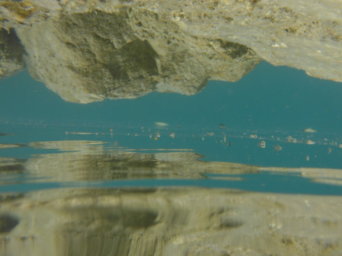 Reflections; Publicdomain; Cc0; Freeimage;.jpg