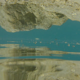 Reflections; Publicdomain; Cc0; Freeimage;