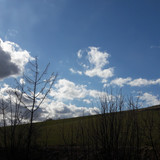 Clouds; Publicdomain; Cc0; Freeimage;