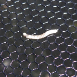 Motive; Publicdomain; Cc0; Freeimage;