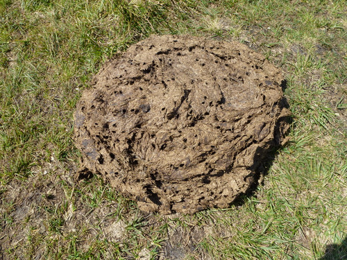 Motive; Publicdomain; Cc0; Freeimage;.jpg