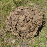 Motive; Publicdomain; Cc0; Freeimage;