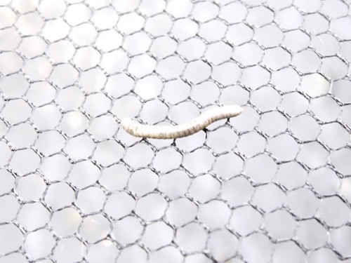 Motive; Publicdomain; Cc0; Freeimage;.jpg