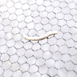 Motive; Publicdomain; Cc0; Freeimage;