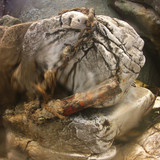 Motive; Publicdomain; Cc0; Freeimage;