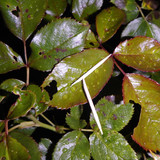 Motive; Publicdomain; Cc0; Freeimage;