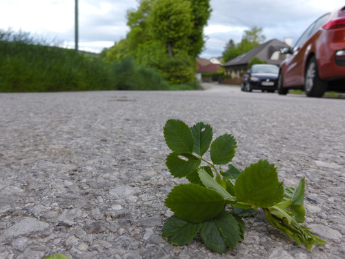 Motive; Publicdomain; Cc0; Freeimage;.jpg