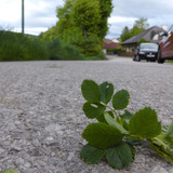 Motive; Publicdomain; Cc0; Freeimage;