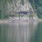 Motive; Publicdomain; Cc0; Freeimage;