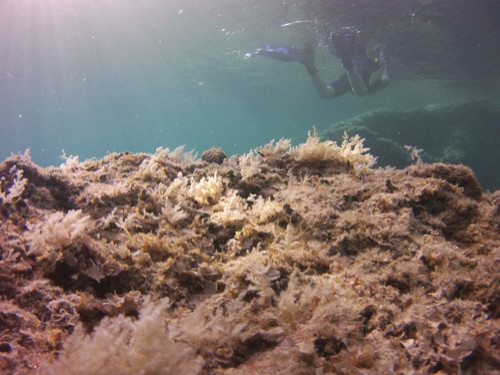 Motive; Publicdomain; Cc0; Freeimage;.jpg