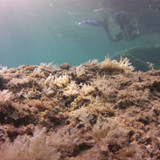 Motive; Publicdomain; Cc0; Freeimage;