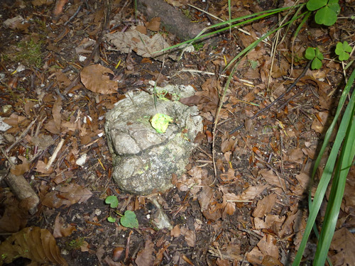 Motive; Publicdomain; Cc0; Freeimage;.jpg