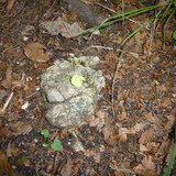 Motive; Publicdomain; Cc0; Freeimage;