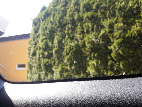 Details Of Worlds.jpg