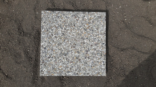 Nature Photography.jpg