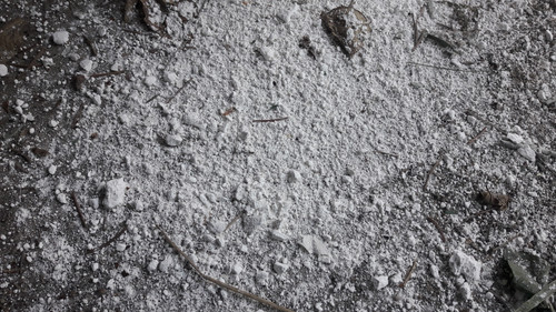 New Photos Again.jpg