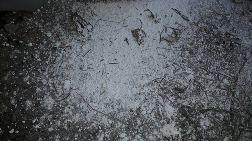 New Photos Again.jpg