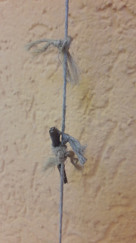 Landscape And Distances.jpg