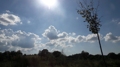 Sky; Publicdomain; Cc0; Freeimage;.jpg